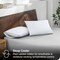 100% Organic Cotton Pillowcase Set – Standard/Queen Size, Crisp Percale Weave, White, Lightweight & Breathable, 2-Pack